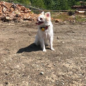 Meet your Posher, Tracy